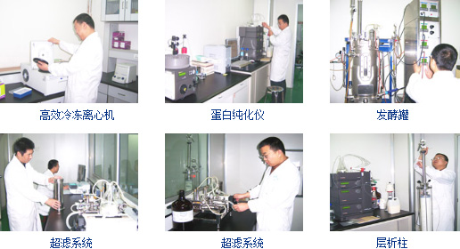 迪赛科技